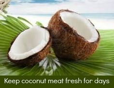 two coconuts are sitting on top of a palm leaf with the words, mother earth