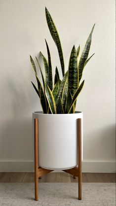 a potted plant sitting on top of a wooden stand next to a white wall