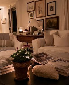 a living room filled with furniture and a potted plant on top of a coffee table