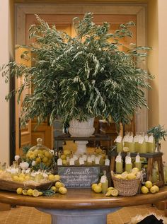 a table topped with lots of lemons and jars filled with liquid next to a potted plant