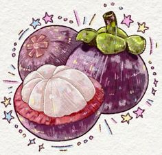 an illustration of two onions and one onion on a white paper with stars around it