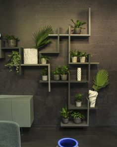 a room with several shelves filled with potted plants