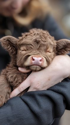 a baby cow is being held in someone's arms with it's eyes closed