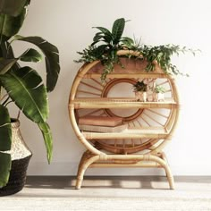 a bamboo shelf with plants in it next to a potted plant on the floor