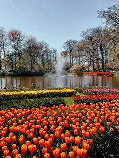 many orange and yellow flowers in front of a pond