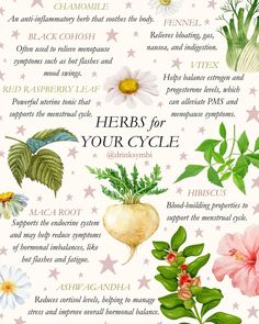 herbs for your cycle is shown in this poster