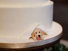 a cake with a dog sticking out of it