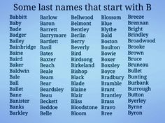 some last names that start with b on a blue background text reads,'some last names that start with b '