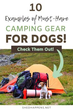 camping gear for dogs with text overlay that reads 10 examples of must have camping gear for dogs check them out