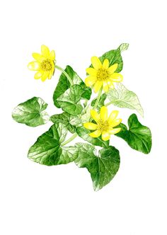 a painting of yellow flowers and green leaves