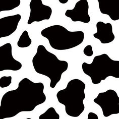 a black and white cow print pattern that looks like it has spots on the skin