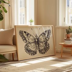 a living room with a couch, coffee table and framed butterfly artwork