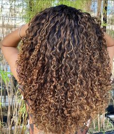 Curry Hair Highlights, Natural Lightening Hair, Curly Golden Highlights, Curl Hair Balayage, Dimensional Highlights Curly Hair, Full Highlight Curly Hair, Curly Honey Blonde Highlights, Highlights Black Women Curly Hair, Butterscotch Curly Hair