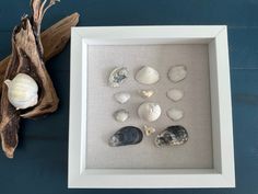 a shadow box frame with sea shells in it