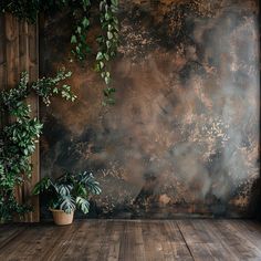 a potted plant sitting on top of a wooden floor in front of a wall