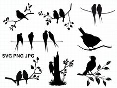 birds sitting on tree branches silhouettes