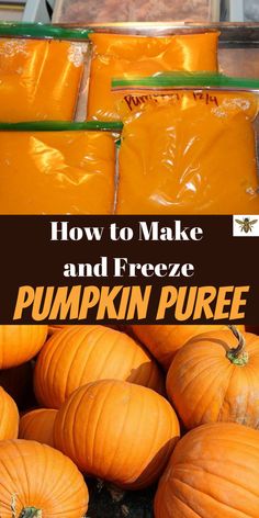 pumpkins in plastic bags with text overlay how to make and freeze pumpkin puree