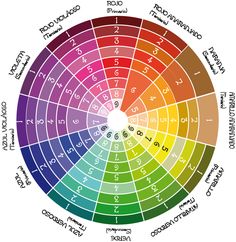 a color wheel with numbers in it