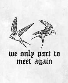 two birds flying next to each other with the words we only part to meet again