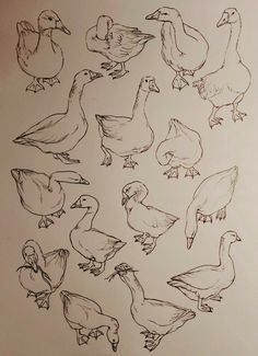 a bunch of ducks are drawn in black and white