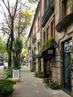 an alley way with plants and trees on both sides, in front of a building