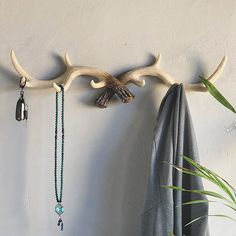 the antler is hanging on the wall with several necklaces