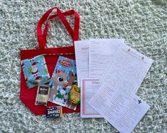 the contents of a red bag are laid out on the carpet next to some papers