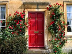 a red door surrounded by flowers and greenery