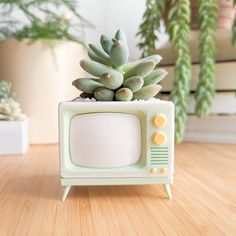 a small tv sitting on top of a wooden table next to a potted plant