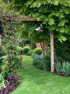 a garden with lots of green plants and trees