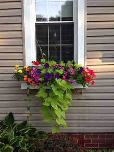 a window box filled with colorful flowers next to a house