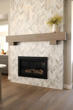 a fireplace in a living room with a potted plant on the mantel