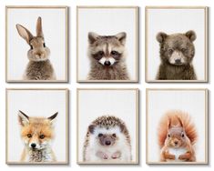 four pictures of different animals in the same square shape, each with an animal's face