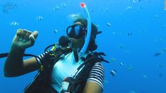 a woman scubas in the ocean with lots of fish