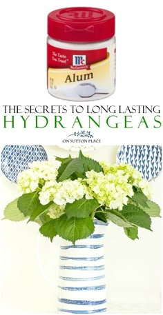 the secrets to long -lasing hydrangeas are on display in this advertisement