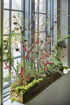 a window sill filled with plants and berries