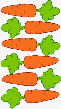 a group of carrots with green tops