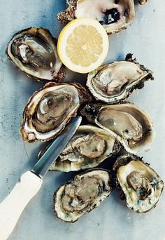 oysters on the half shell with a knife and lemon wedge