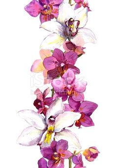 Marco Floral, Frame Border, Beautiful Orchids, Digital Print Fabric, Sketchbook Inspiration