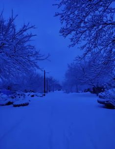 a snowy street with cars parked on the side and trees covered in snow at night