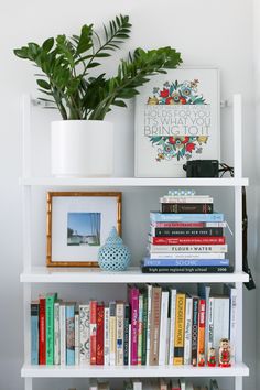 a bookshelf filled with lots of books and a potted plant next to it