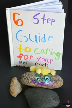 there is a book and some rocks on the table with it's name written