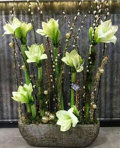 some white flowers and green stems in a basket