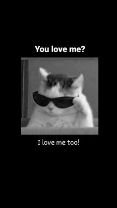 a black and white photo with a cat wearing sunglasses that says, you love me? i love me too