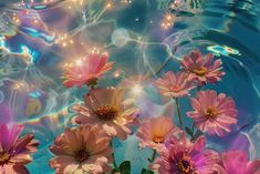 pink flowers floating in water with bubbles on the bottom and blue sky above them, as seen from below