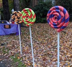 three candy lollipops sitting on top of sticks