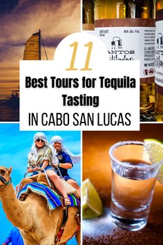 the best tours for tequila tasting in cabo san lucas, mexico with text overlay that reads 11 best tours for tequila tasting in cabo san lucas