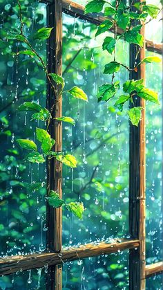 the window is covered with rain and green leaves