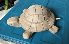 a clay turtle sitting on top of a blue tray