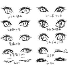 an image of different types of eyes in various poses and expressions, all drawn by hand